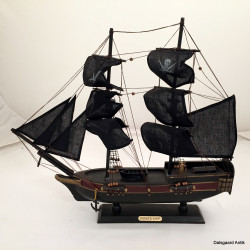 Pirat skib