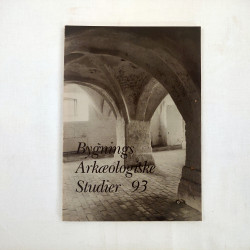 Bygnings Arkæologiske Studier 1993