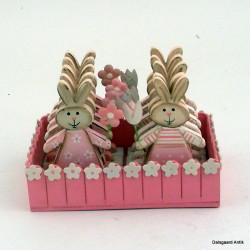 Kaniner i kasse