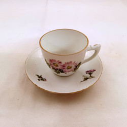 Kaffekop Chrysanthemum 